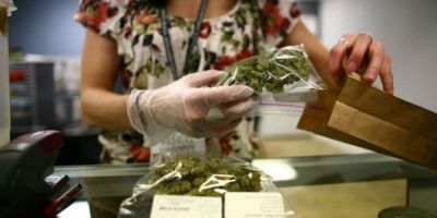 Este martes se abre el registro para comprar marihuana en farmacias Este martes se abre el registro para comprar marihuana en farmacias