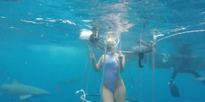Tiburón hiere a actriz porno cuando grababa sensual video en el mar