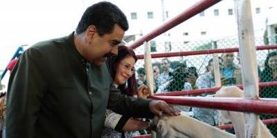 Oficialismo se movilizará este martes en apoyo a la Constituyente — VENEZUELA