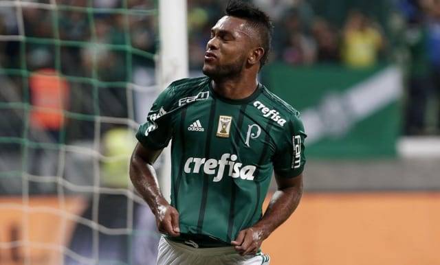 borja-palmeiras.jpg