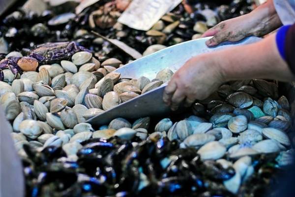 China suspende por una semana importación de mariscos chilenos por lote con coronavirus