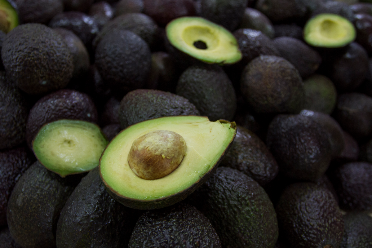 Aguacate registra precio máximo de 85 pesos en mercados del país