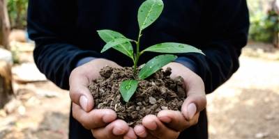 Uruguay celebra el Día Mundial del Medio Ambiente Uruguay celebra el Día Mundial del Medio Ambiente