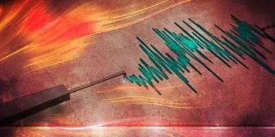 Sismo de 5,1 Richter sacudió la costa chilena