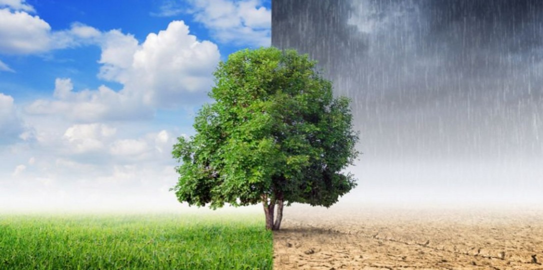 Cambio climático