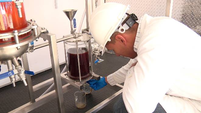 biodiesel