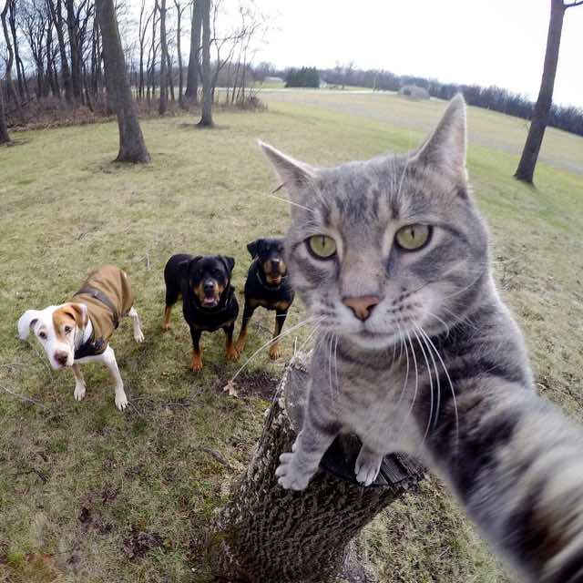 Manny y sus amigos.