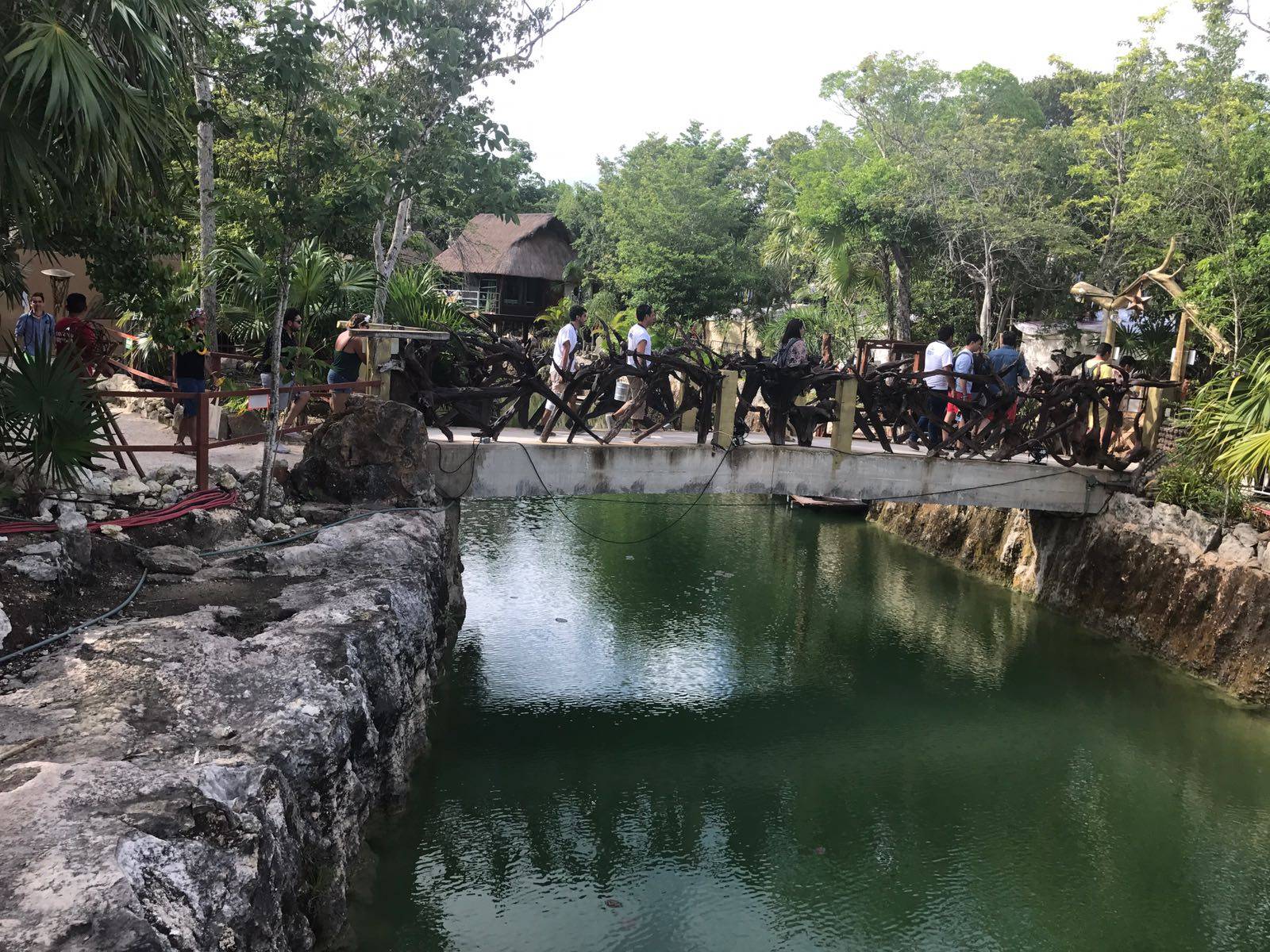The Wookies sorprende en festival musical en Tulum