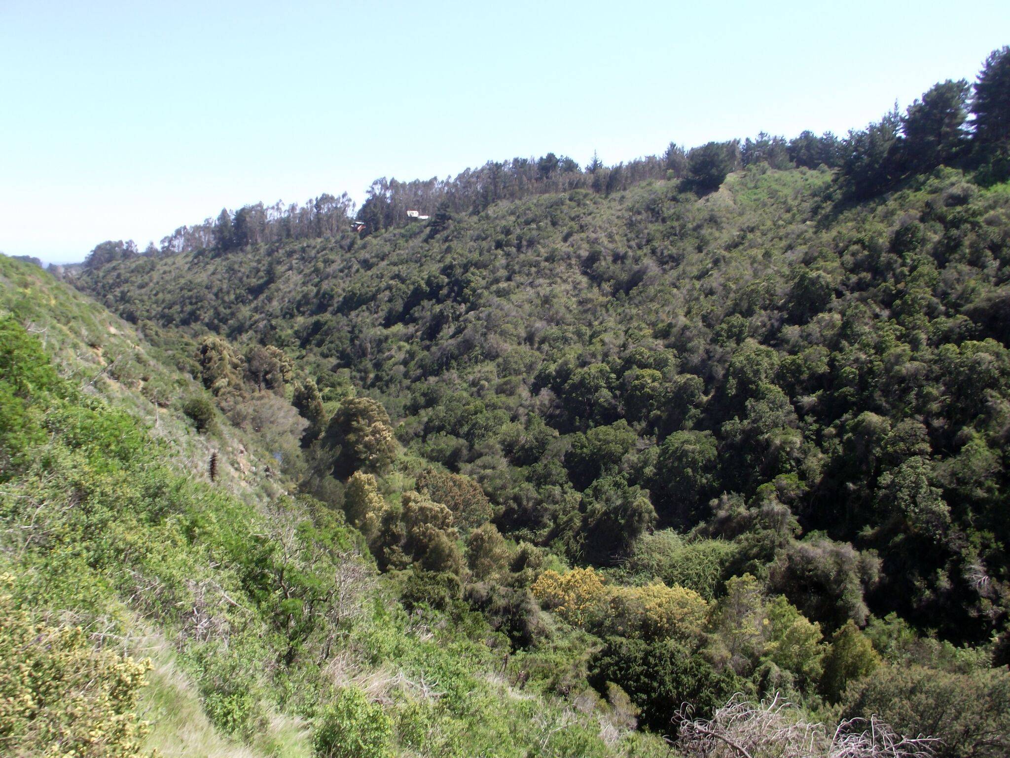 Santuario de la Naturaleza