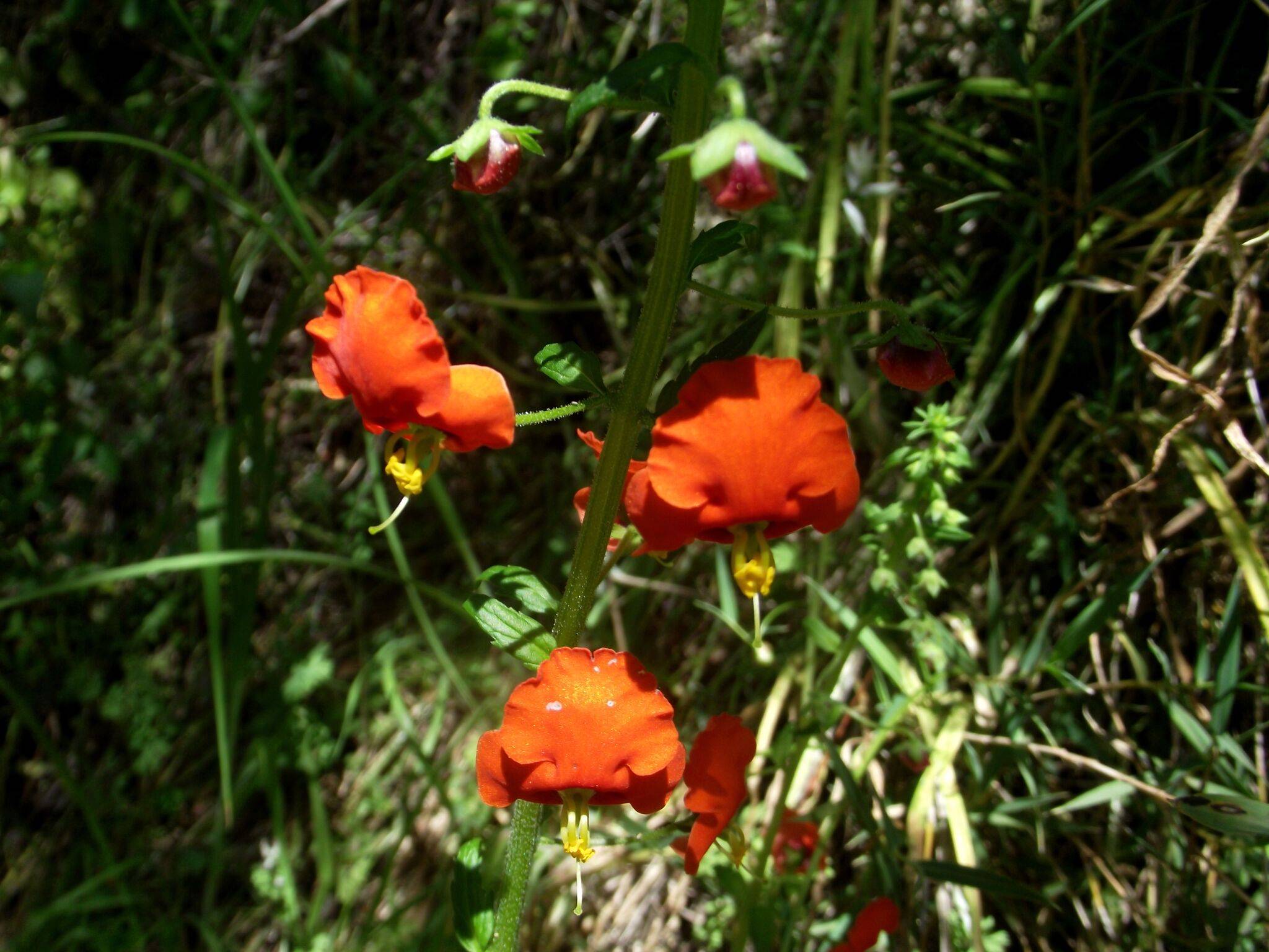 Santuario de la naturaleza