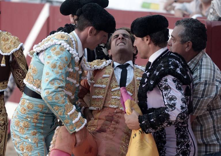 Iván Fandiño, herido por una cornada