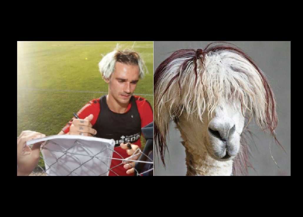 Qué se hizo Antoine Griezmann en la cabeza — Explotan los memes