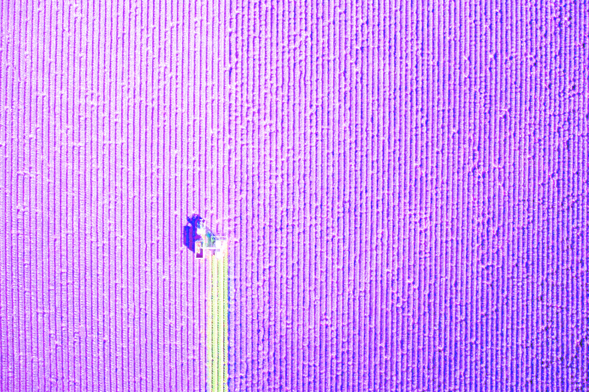 Fotos Drone