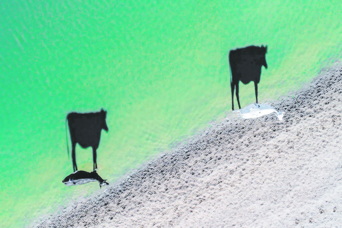Fotos Drone