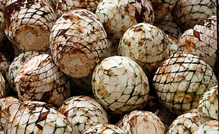 Tequila