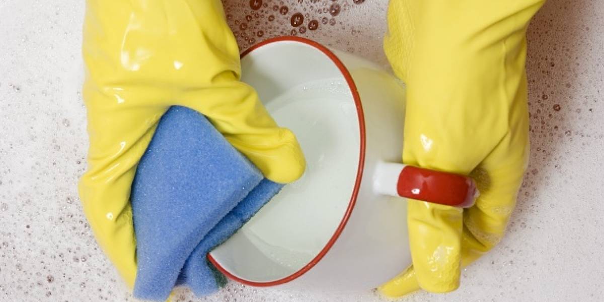 Las esponjas de cocina son un perfecto caldo de cultivo para bacterias