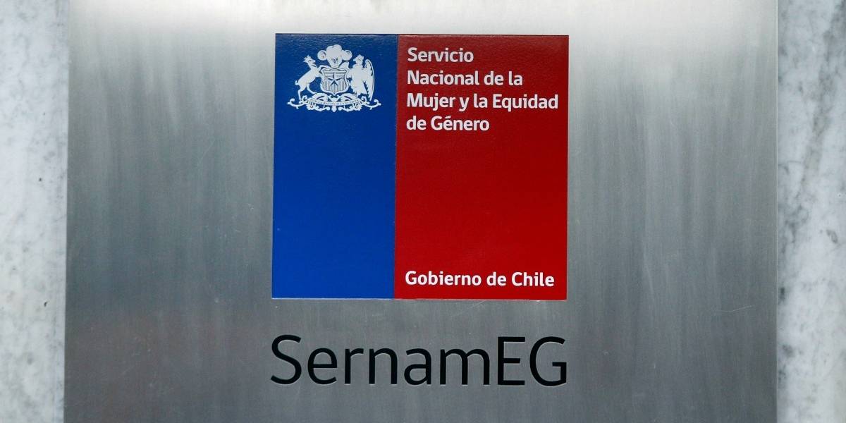 Crisis en la DC: subdirectora del Sernam dejó su cargo