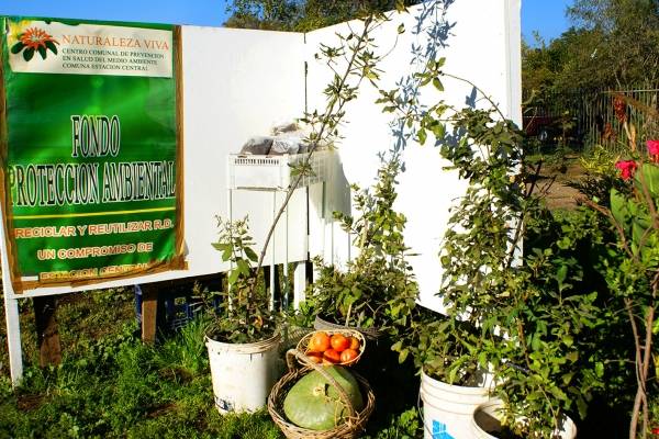 PLANTAS
