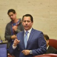 PIP demanda para preservar representación en la CEE