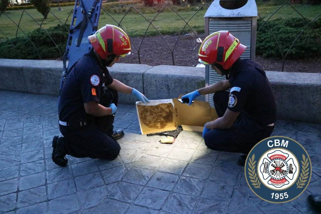 Encuentran mano en caja de pizza parque Concordia