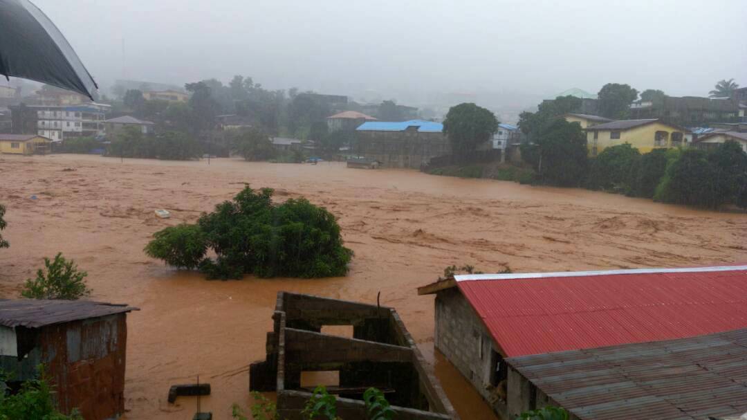 Delaves en Sierra Leona