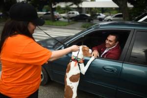 https://www.publinews.gt/gt/noticias/2018/08/18/publinews-dia-perruno-2018.html
