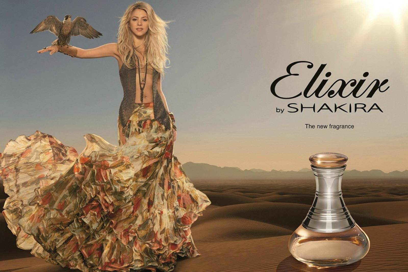Shakira famosas latinas