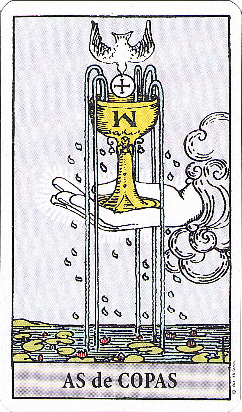 carta 11