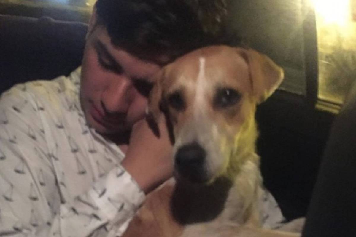Perro