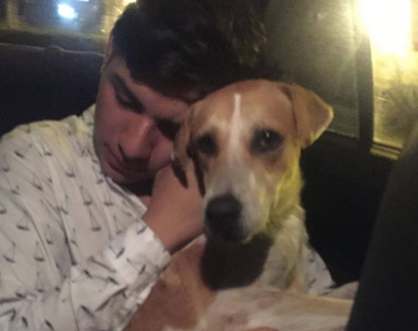 Perro