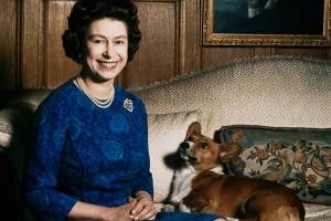 reina Isabel