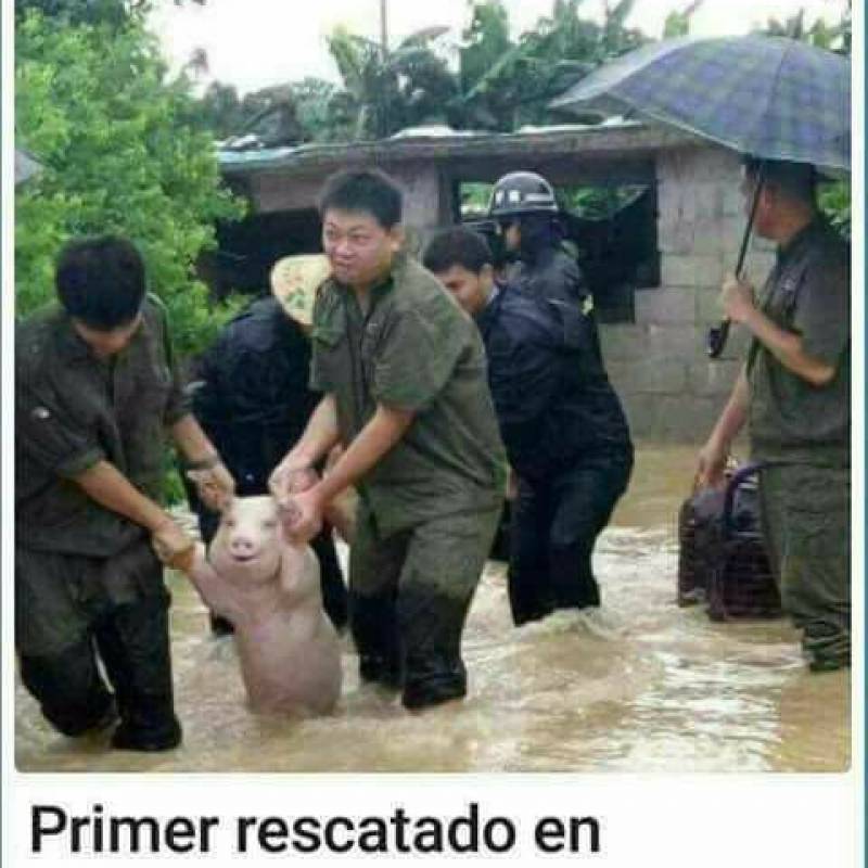 Guavate