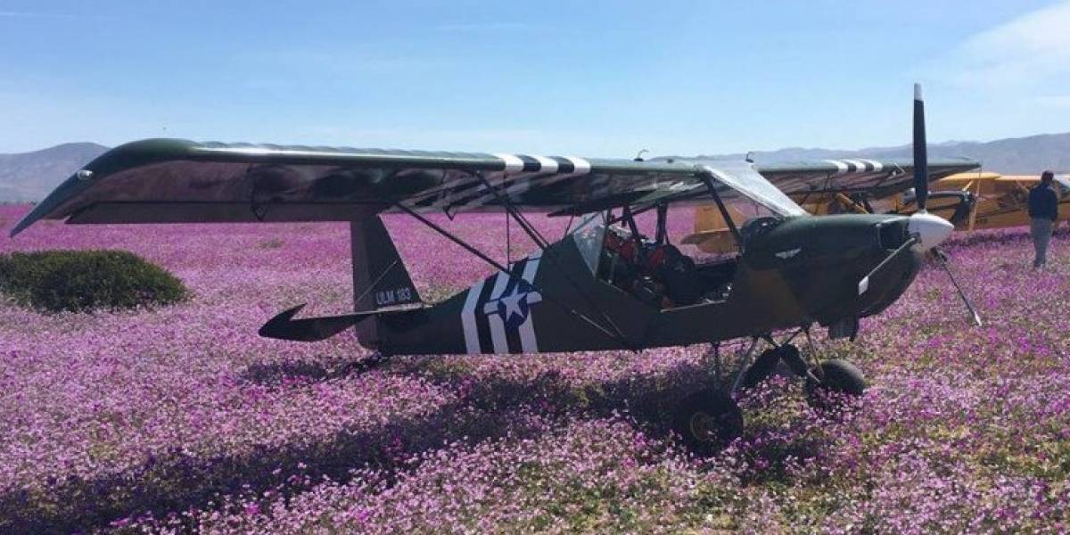 Dirección de Aeronáutica Civil inicia investigación por aterrizaje en Desierto Florido Dirección de Aeronáutica Civil inicia investigación por aterrizaje en Desierto Florido