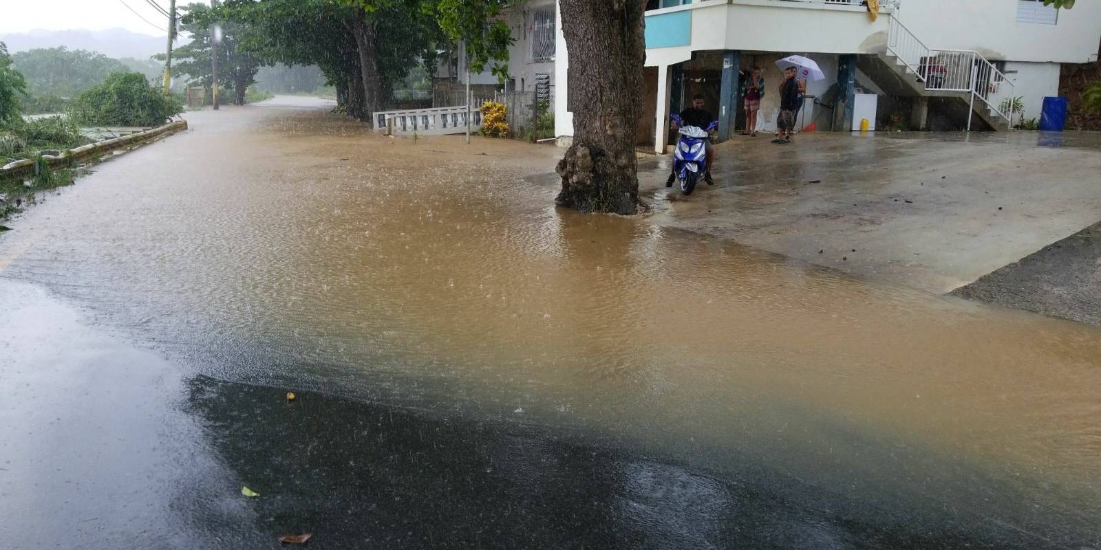 Sector Arenales en Vega Baja, durante Irma. (Hermes Ayala/ Metro)