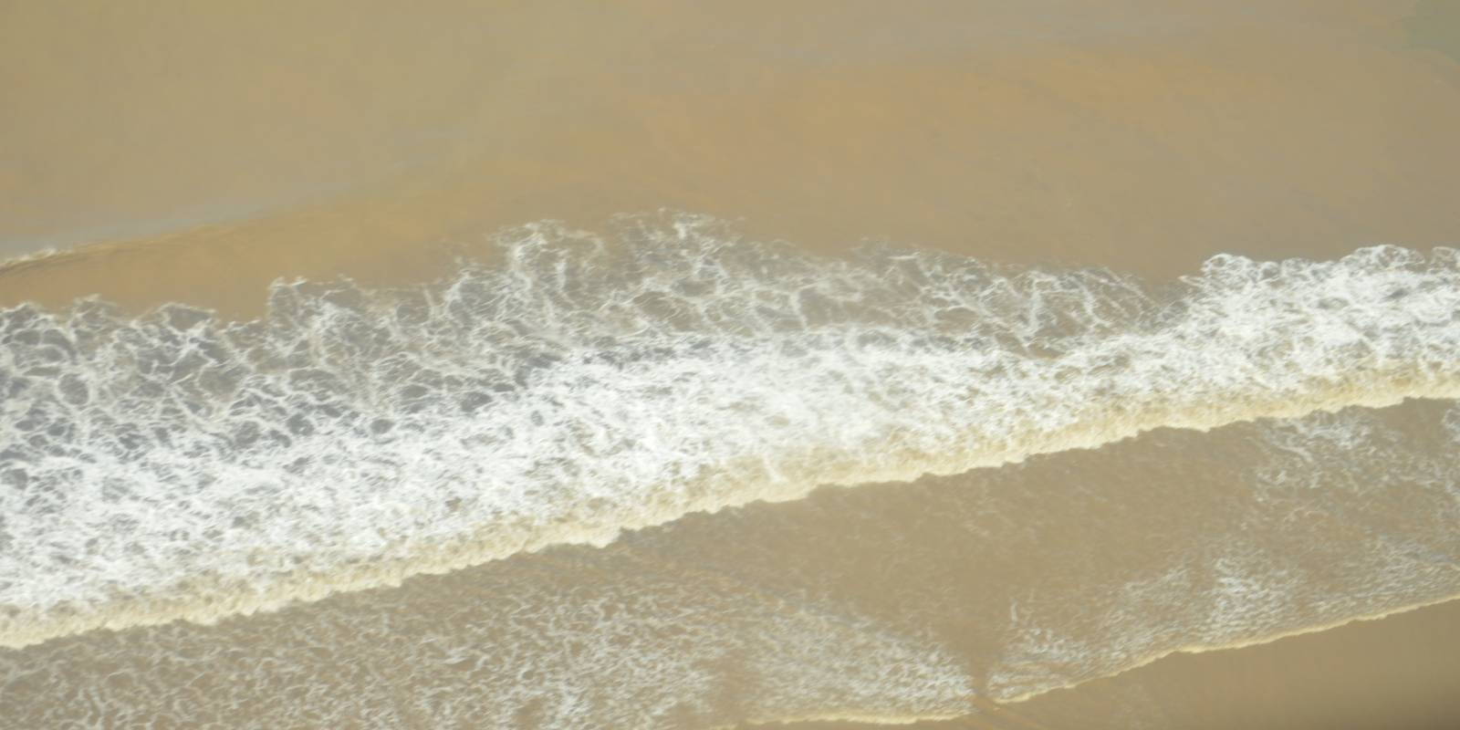 Foto: Jorge Tizol