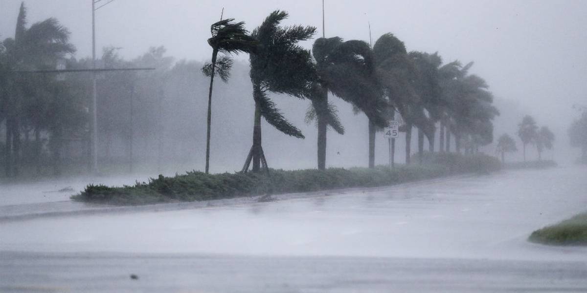 Reabren aeropuertos en Florida tras el paso de Irma Reabren aeropuertos en Florida tras el paso de Irma