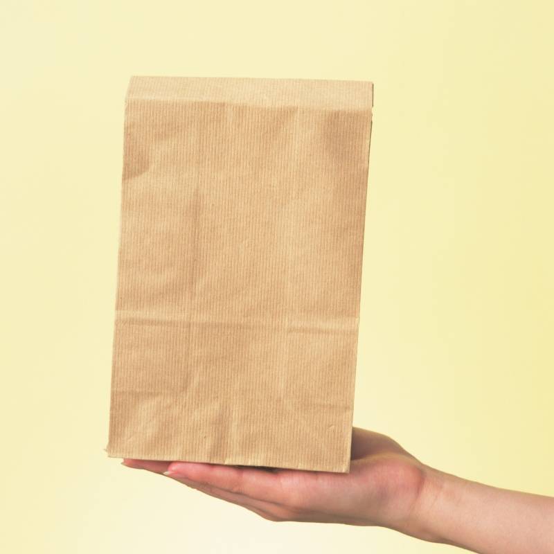 Image of Right Hand Holding a Paper Bag