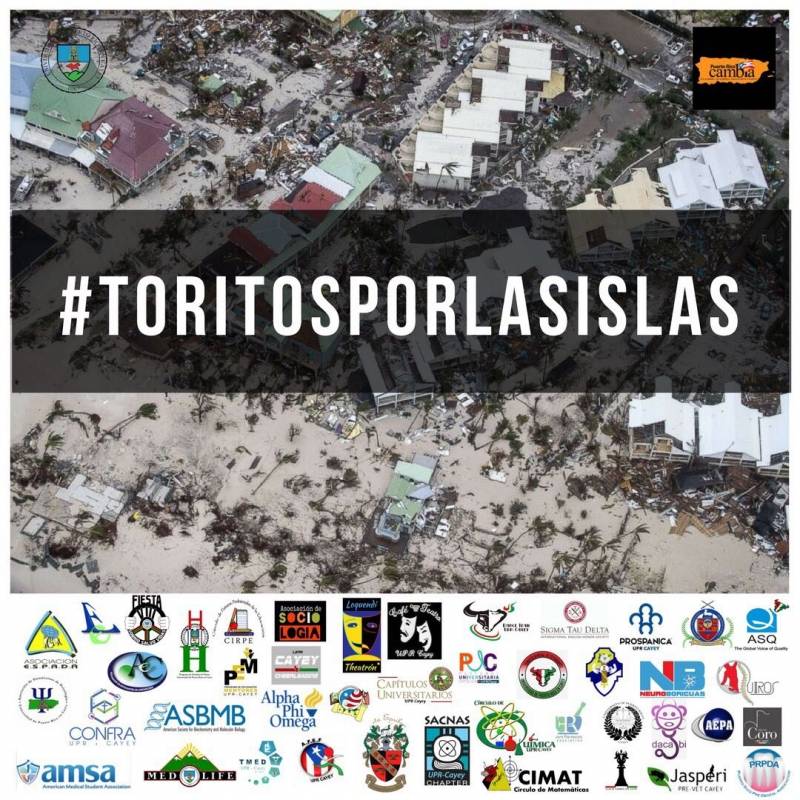 Toritos por las islas
