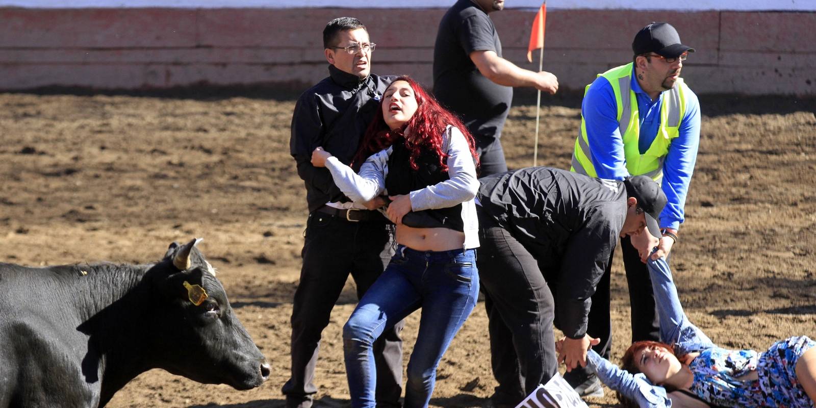 Animalistas invaden medialuna del Parque Padre Hurtado.