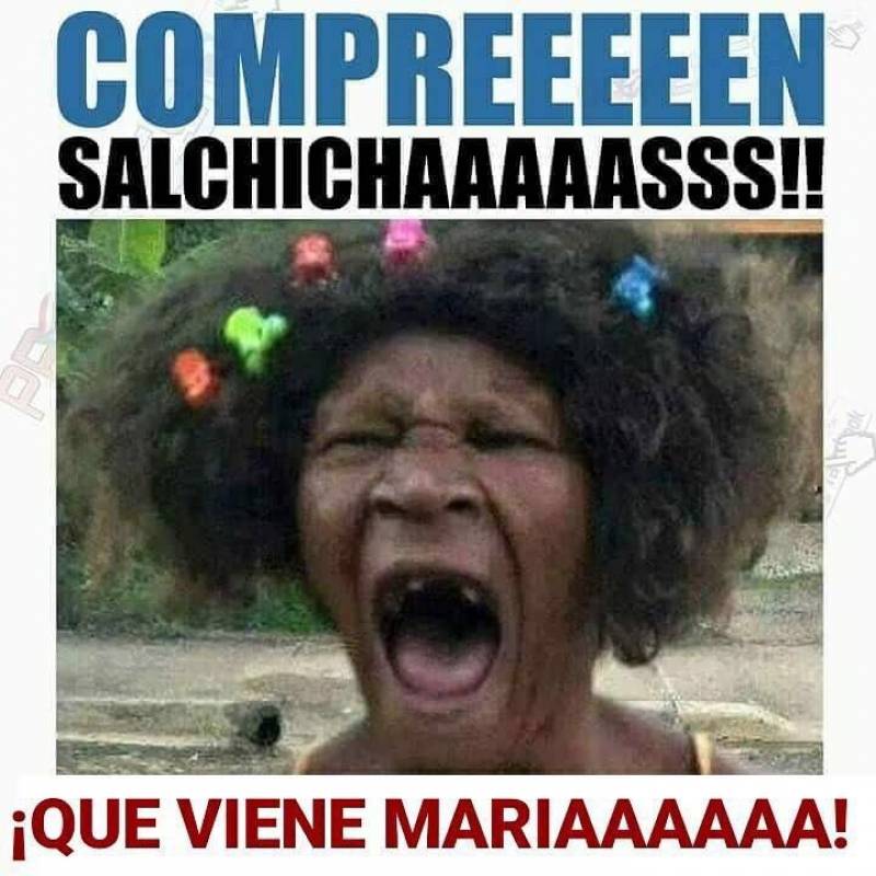 huracán maría no se salva de los memes metro whatsapp image 20170918 at 1.28.33 pm 800x800 huracán maría no se salva de los memes metro