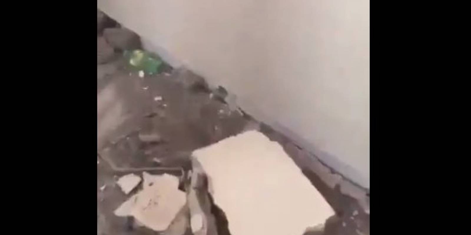 Terremoto