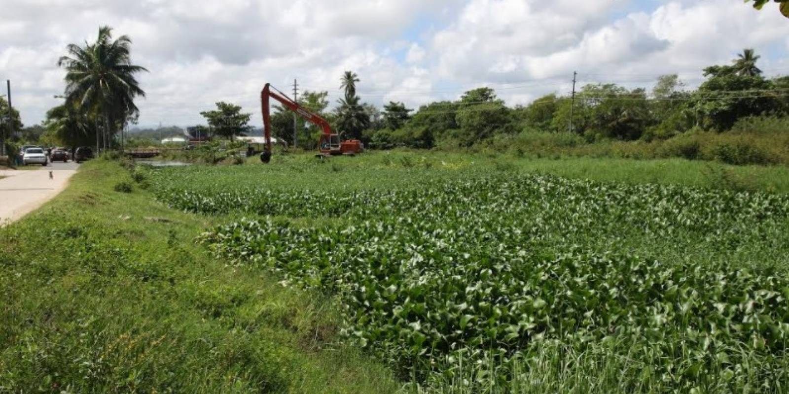 El caño Cabo Caribe. (suministrada)