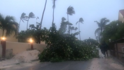 R&Atilde;&copy;sultats de recherche d'images pour &Acirc;&laquo;&Acirc;&nbsp;huracan maria punta cana&Acirc;&nbsp;&Acirc;&raquo;