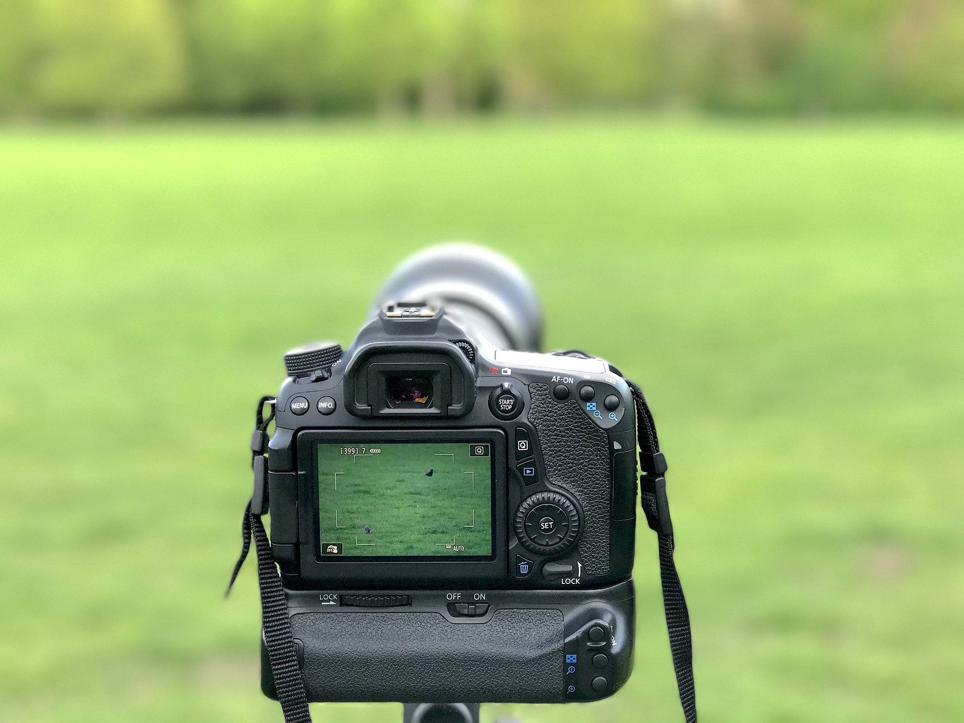Canon