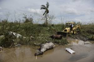 https://www.publimetro.com.mx/mx/noticias/2017/09/23/evacuan-en-puerto-rico-a-70-mil-personas-presa-danada.html