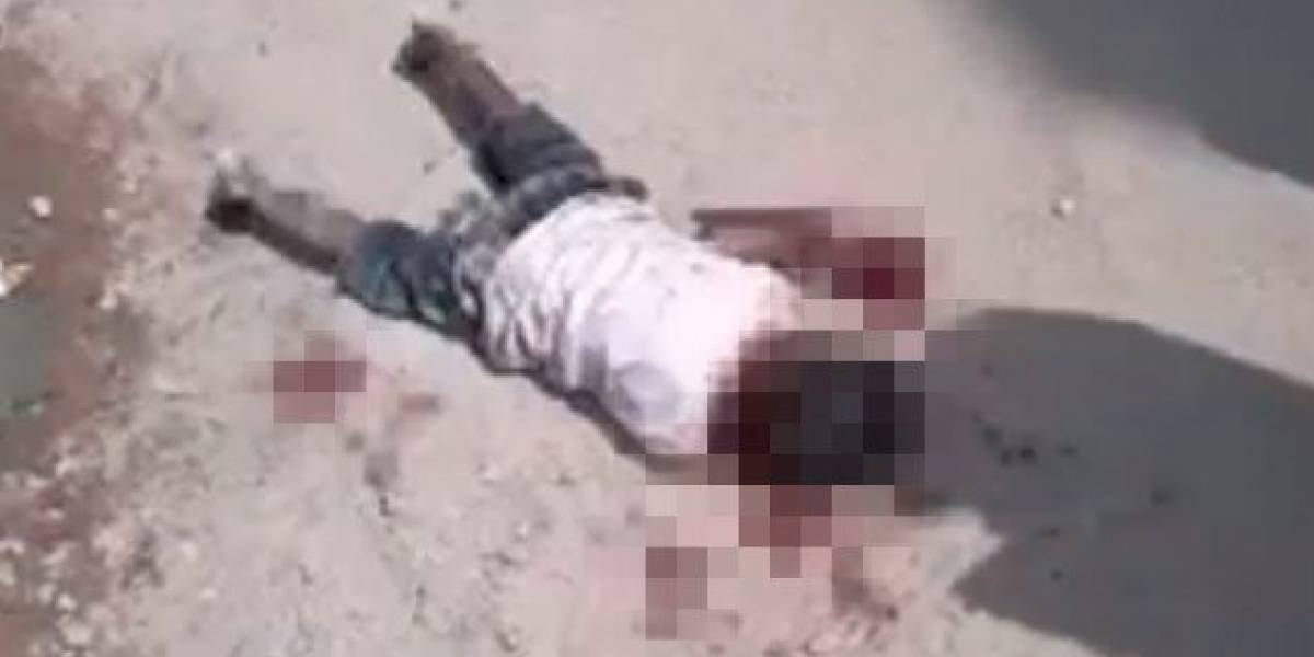 EN VIDEO. Niño indio fue comido por perros callejeros EN VIDEO. Niño indio fue comido por perros callejeros