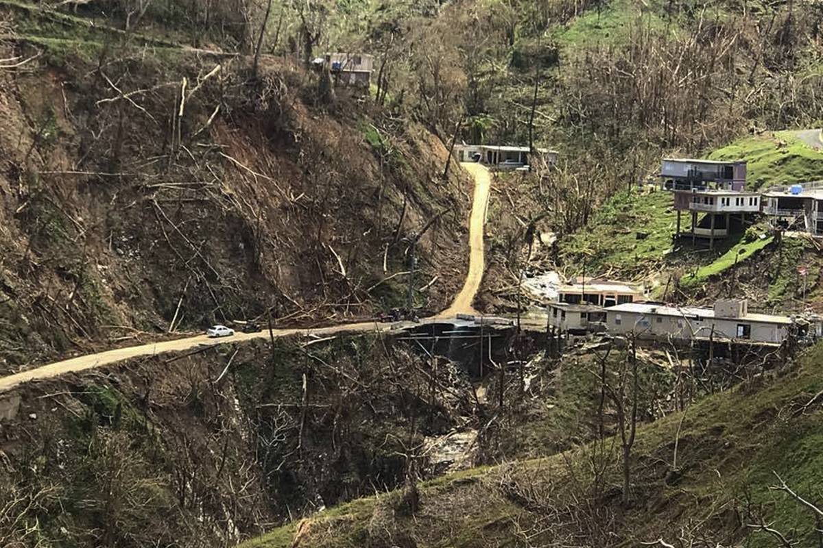 Puerto Rico Agriculture