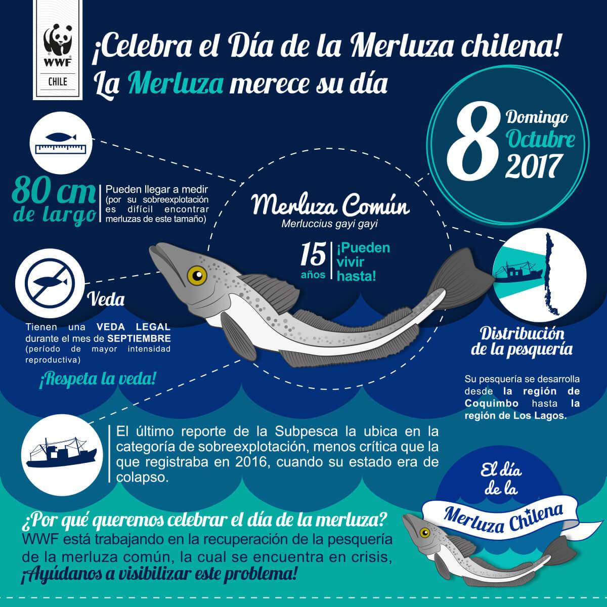 infografía