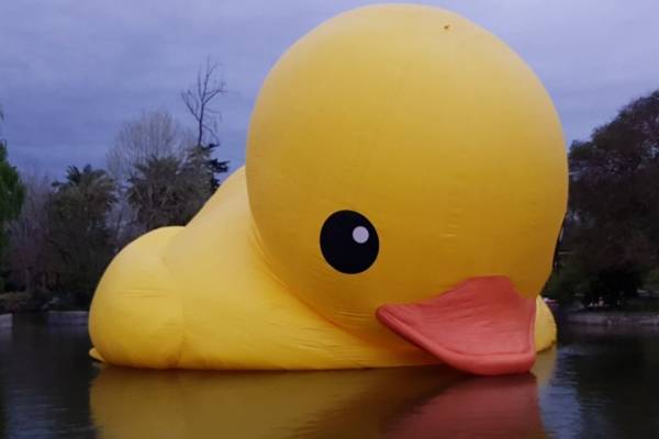 pato-desinflado-600x400.jpg