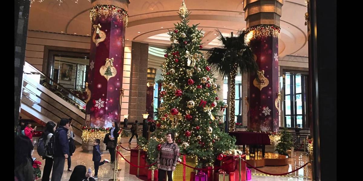 detengan la prematura decoracin navidea la protesta contra los arbolitos de pascua en - Decoracion Navidea detengan la prematura decoracin navidea la protesta contra los arbolitos de pascua en - Decoracion Navidea